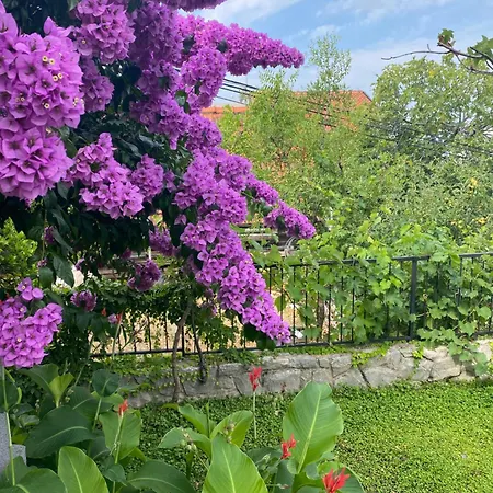 Great 4-bedroom W Heated Eco Pool فيلة