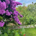Great 4-bedroom W Heated Eco Pool Villa