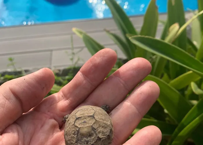 Vila Great 4-bedroom W Heated Eco Pool *