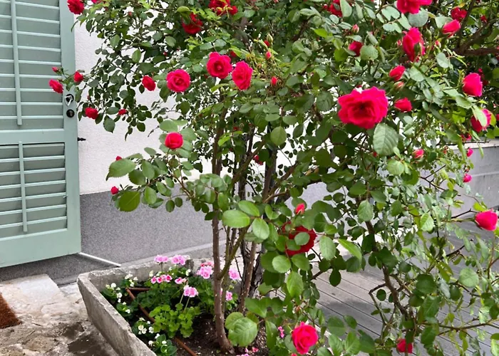 Great 4-bedroom W Heated Eco Pool