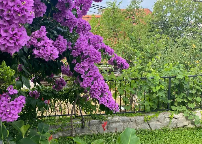 Great 4-bedroom W Heated Eco Pool Vila